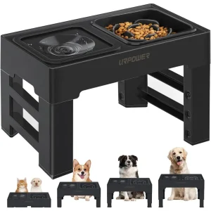 Elevated Slow Feeder Bowl with No-Spill Water Bowl
