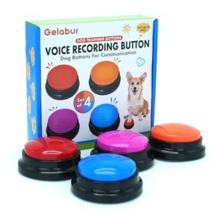 Set of 4 Dog Buttons for Communication
