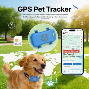 GPS Tracker Built-in SIM with Real Time Tracking
