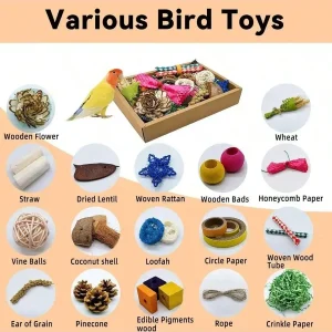 Foraging Parrot Chew Shredding Box