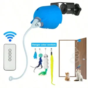 Interactive Toy With Remote Control Replaceable Heads