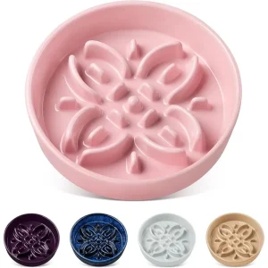 Slow Eater Dog Bowls, Puzzle Food Bowls